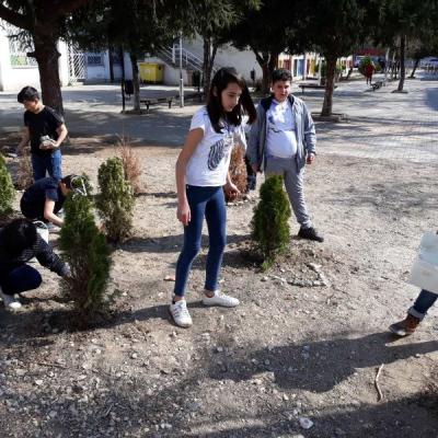 Img 3c88077c038751b4554d7ce113408f27 V