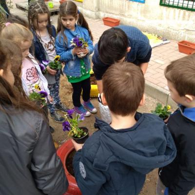 Img 5600705e189d8686385e346836e03d76 V