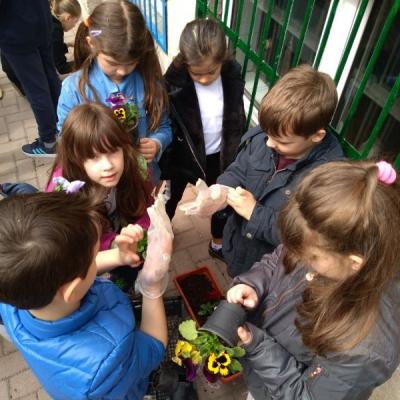 Img C506bd5096cc7e4fd10f6e05114bb60e V