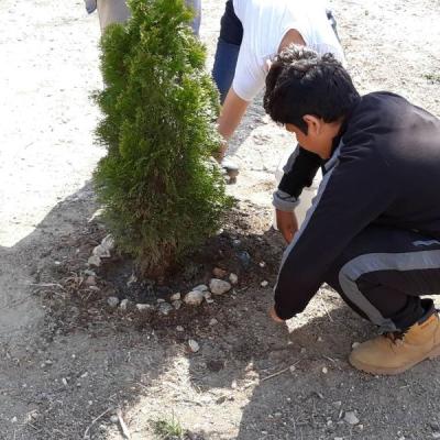 Img De866b39ca67d23dd6ed0b4a245572e3 V