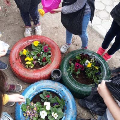 Img E11284be5c8c927b7814c95b95787a6a V